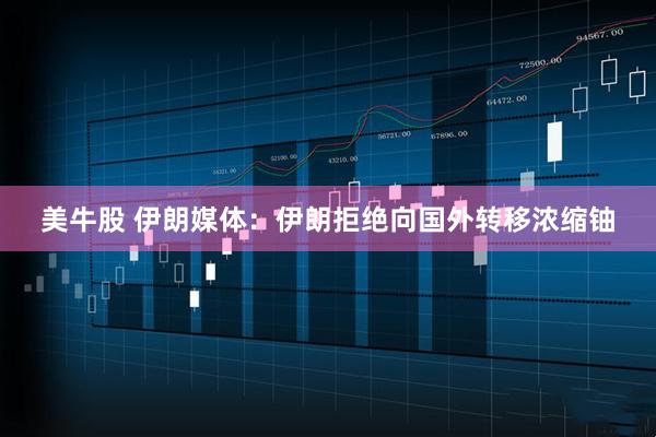 美牛股 伊朗媒体：伊朗拒绝向国外转移浓缩铀